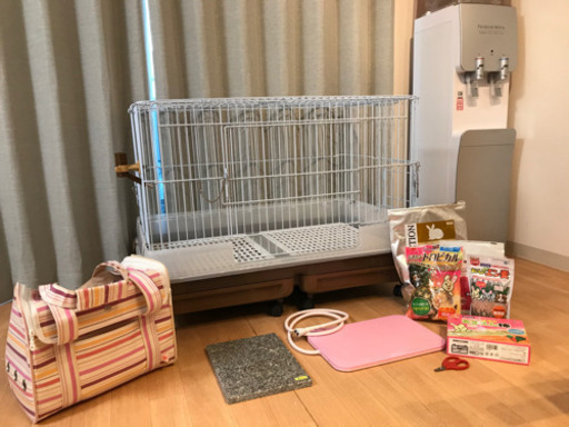 うさぎ　飼育セット