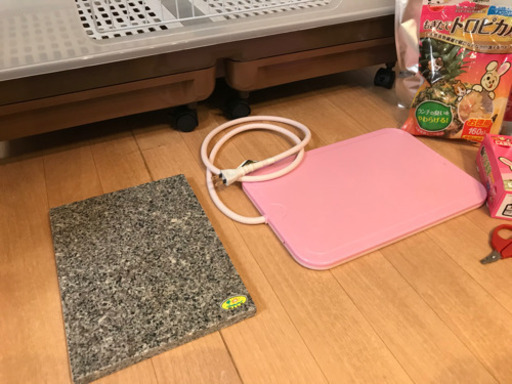 うさぎ　飼育セット