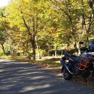 ツーリング友達募集です❗