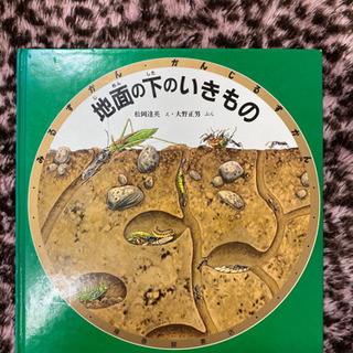 📓地面の下のいきもの📓 (絵本)