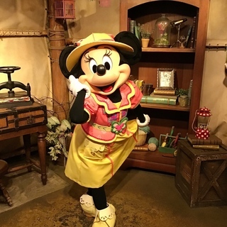 1月26日、東京ディズニーリゾートへ - その他