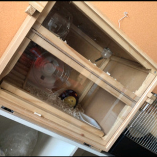 ハムスター　ゲージ　大小　1つずつの画像
