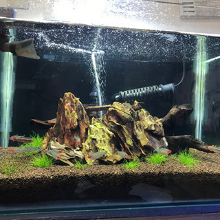 60cm水槽 ポンプ(エーハイム)水槽台(黒)・ライト・気孔石