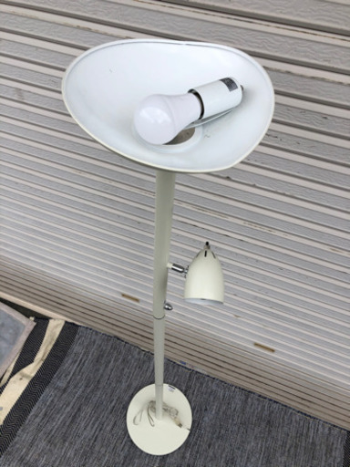 フロアスタンドライト(ﾟ∀ﾟ)