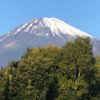 カメラ大好き^_^ - 和歌山市