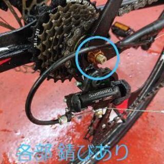 ユーロバイク 引越しのため断捨離の画像