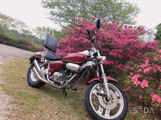 原付アメリカン！HONDA 赤いマグナ50