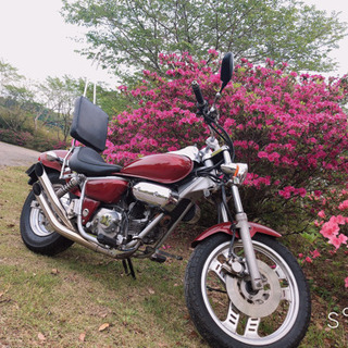 原付アメリカン！HONDA 赤いマグナ50