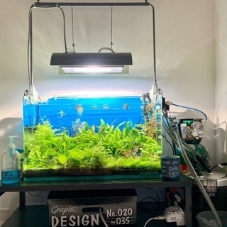 水槽フルセット