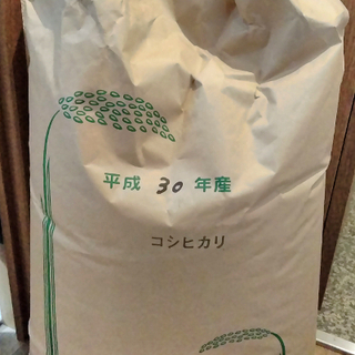 玄米30ｋｇ