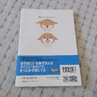 三たび 柴犬さんのツボの画像
