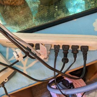 電源コード　タップの画像