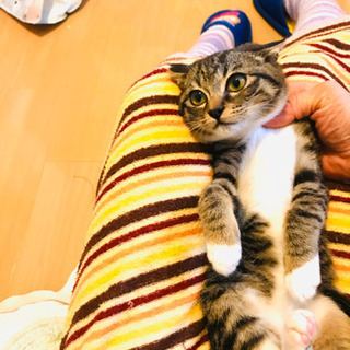猫空✈️😸Part8❣️宮崎県愛護センターより　😍キャンセルで再...