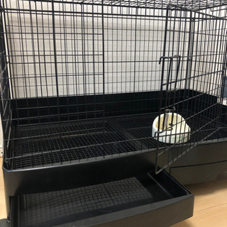 小動物用ゲージの画像