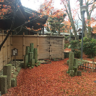 1月12日18:30〜とこれからも❤️
