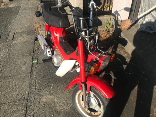 ホンダ　シャリー　50cc