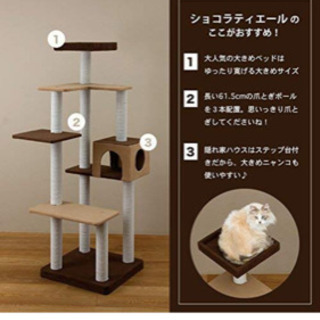 猫タワー キャットタワー 美品の画像