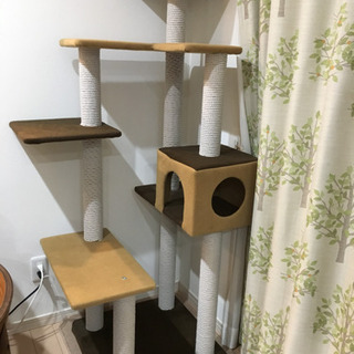 猫タワー キャットタワー 美品の画像