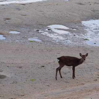 撮影会しましょう！ − 広島県