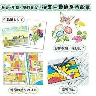 新品 サクラクレパス クーピーペンシル 30色 限定 定規付き色鉛筆 新学期        の画像