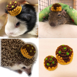 【延期】小動物いっぱいの春の祭典