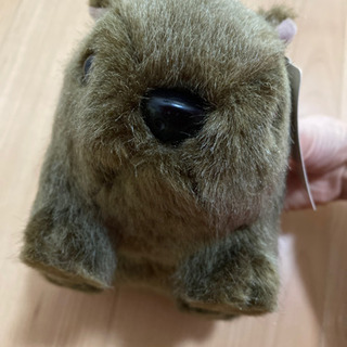 ウォンバット　ぬいぐるみの画像