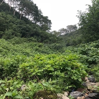 北アルプスへご案内 - 富山市