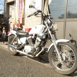 ヤマハ ビラーゴ250 珍しいホワイト アメリカン