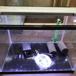 40×25×28 テトラ LED フルセットです　水槽　熱帯魚　めだか