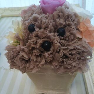 優しく丁寧、分かりやすいレッスンです！の画像