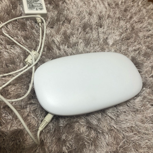 モイスティーヌ美顔器 値下げ！2万5000円