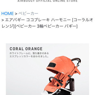 【新品・未使用】エアバギー ☆キャノピー＆シート