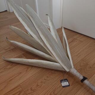 IKEA 観葉植物の画像