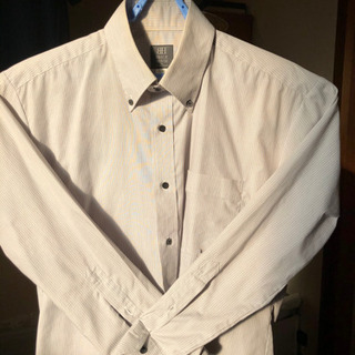 ボタンダウン  その他  ¥50の画像