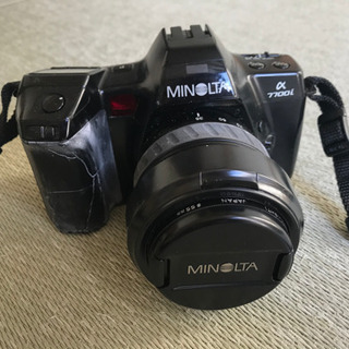 フィルムカメラ、デジカメの画像
