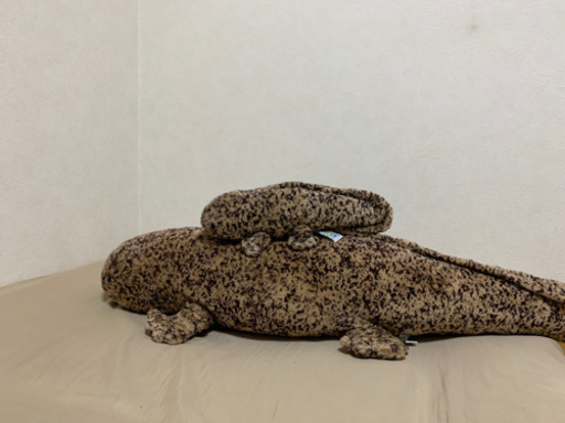 京都水族館　オオサンショウウオ　ぬいぐるみ　大小セット