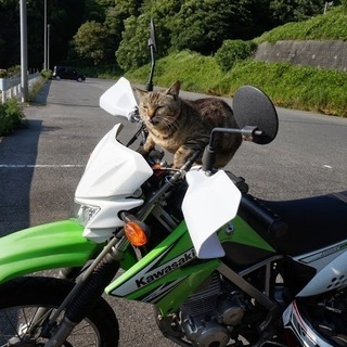 バイク買取・廃車手続き代行