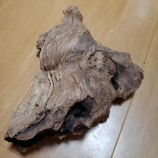 流木　水槽のオブジェにどうぞ