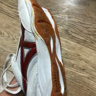 体育館シューズ　26.0cm 白色の画像