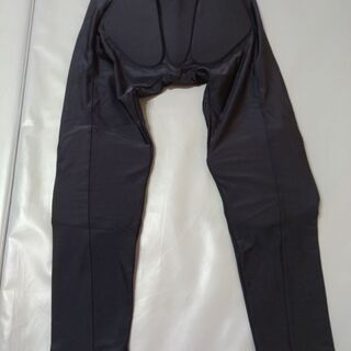 【美品】IGNIO ヒッププロテクター L sizeの画像