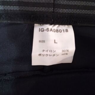 【美品】IGNIO ヒッププロテクター L sizeの画像