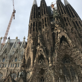 マイルを貯めて毎年無料で海外旅行に行きませんか？の画像
