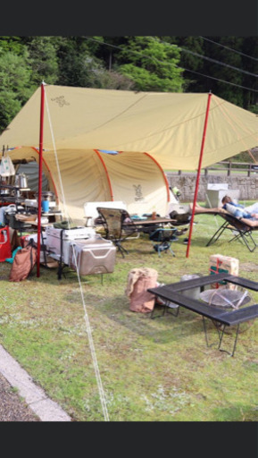 チーズタープ　ベージュ