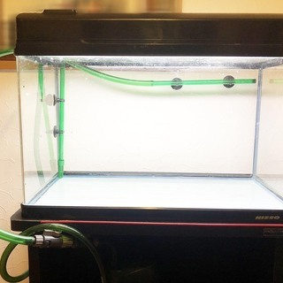 熱帯魚飼育60cm水槽セット一式！の画像