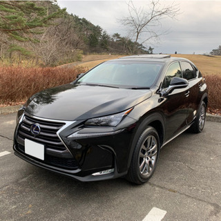 （成約済み）レクサス NX 300h バージョンL✨3.4万キロ✨赤革✨ムーンルーフ✨パノラミックビューモニター✨ACC✨パドルシフト✨の画像