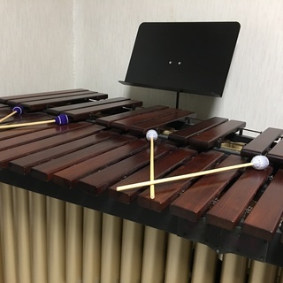 アキバ音楽教室 【ドラム キッズドラム キッズマリンバ パーカッション】の画像