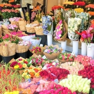 【週1日〜(シフト申告制)の夜勤】未経験歓迎♪お花の仕分け・出荷作業【全額日払い】の画像