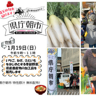 １月も県庁朝市開催されます！