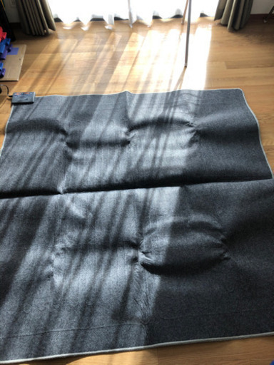 （受け渡し予定）ニトリ　ホットカーペット