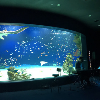 水族館を貸し切り！一緒に癒されましょう★